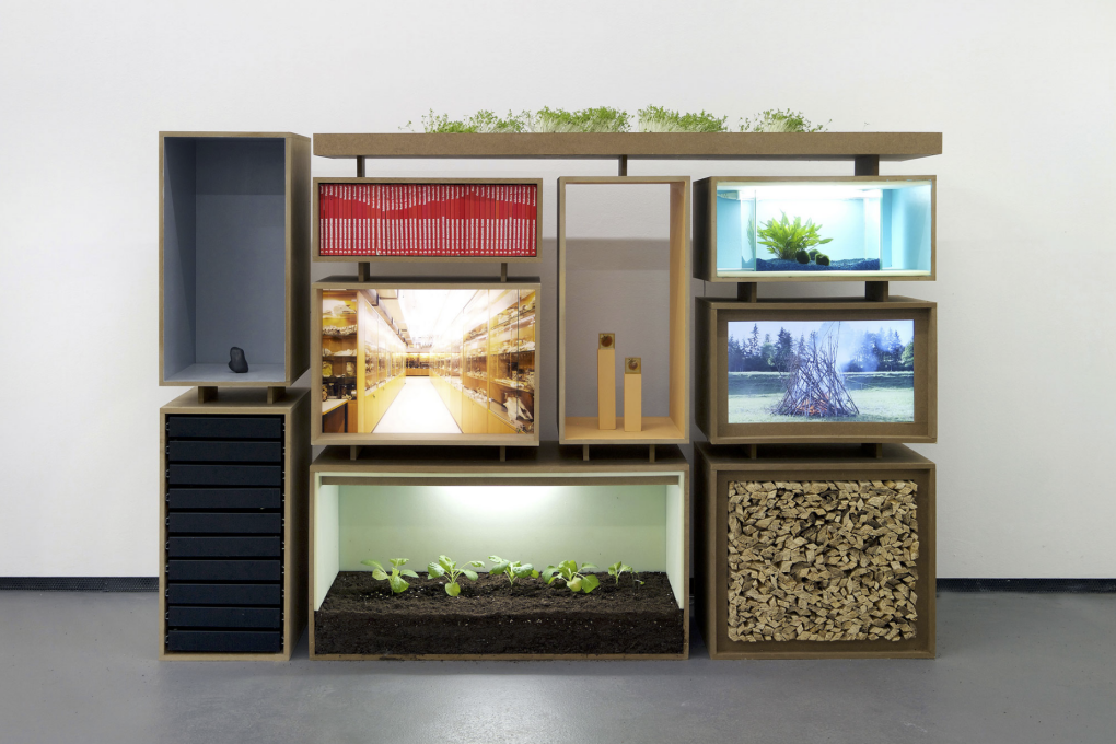 We Have Never Been Forest